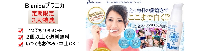 �z���C�g�j���O�������W�F���u�u���j�J�v���T�C�g